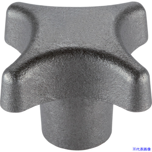 ■HALDER パームグリップ DIN6335、鋳鉄 形状E 24620.0490(1078174)[送料別途お見積り][法人限定][掲外取寄]