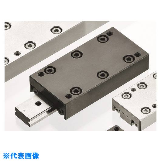 ■NB スライドテーブルNYT1形L＝45タイプD NYT1045D(1596866)[法人・事業所限定][外直送元]