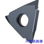 ■GUHRING 溝入れ工具 インサート 外径ねじ切り さらい刃なし メートルねじ用 TiCNコート GG305.TM00.250.AA.04.L 2565712.060(1804277)×2[送料別途お見積り][法人限定][掲外取寄]