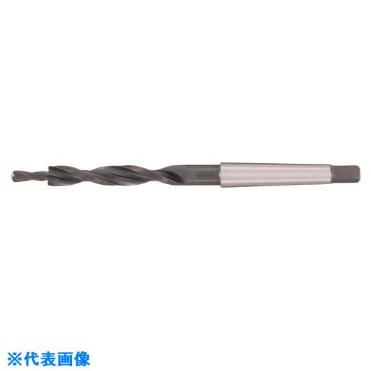 ■GUHRING 180&deg;座繰り用サブランドドリル レギュラ ホモ処理 11mm 52011.000(1806921)[送料別途お見積り][法人限定][掲外取寄]｜セミプロＤＩＹ店ファースト