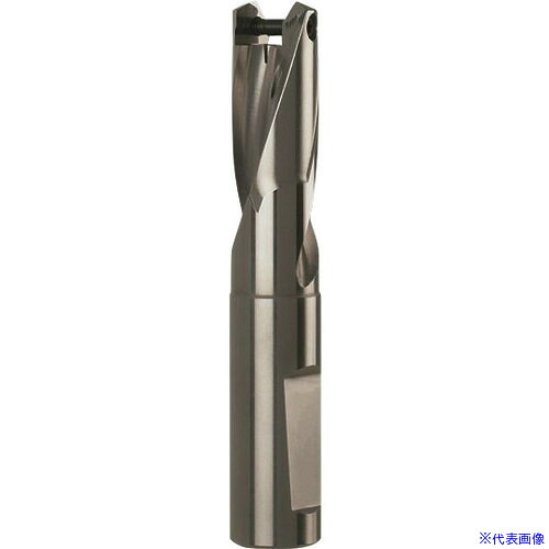 ■GUHRING ドリルホルダ 1.5XD用 21.00～21.49mm 410621.000(1824795)[送料別途お見積り][法人限定][掲外取寄]