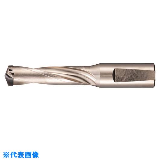 ■GUHRING 刃先交換式超硬ドリルホルダ3×D用 24.01～25.50mm 524225.500(1826389)[送料別途お見積り][法人限定][掲外取寄]