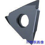 ■GUHRING 溝入れ工具 インサート 外径ねじ切り さらい刃なし メートルねじ用 FIREコート GG305.TM00.100.AA.04.L 2565512.010(1826440)&times;2[送料別途お見積り][法人限定][掲外取寄]｜セミプロＤＩＹ店ファースト