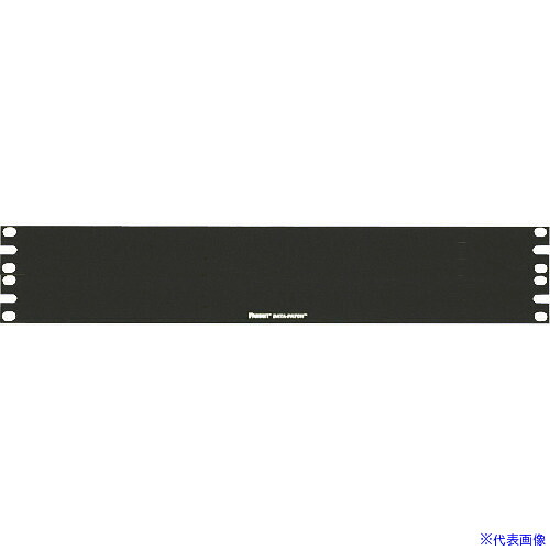 ■PANDUIT ブランクパネル 19インチラック用 2U DPFP2 DPFP2(1949229)×10[送料別途お見積り][法人限定][メーカー取寄]