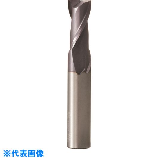 ■大見 超硬2枚刃スクエア(ロング) OES2L0100(1997547)[送料別途お見積り][法人限定][掲外取寄]