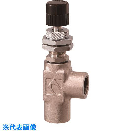■KOFLOC 精密ニードルバルブ MODEL 2412 SERIES 2412LSS14N20.1MPA500MLMIN(2006887)[送料別途お見積り][法人限定][掲外取寄]