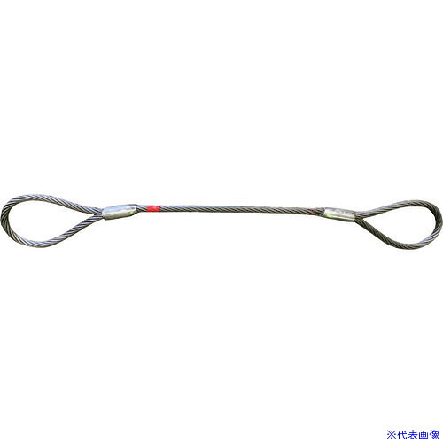 ■HX2L 10MMX3.5M HX2L10MMX3.5M(2053536)[送料別途お見積り][法人限定][メーカー取寄]