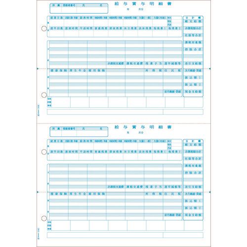 ■HISAGO 給与賞与明細書 2面 GB2102(2146937)[送料別途お見積り][法人限定][掲外取寄]｜セミプロＤＩＹ店ファースト