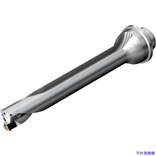 ■SANDVIK コロドリルDS20刃先交換式ドリル(465) DS20D3967DM4007(2160981)[送料別途お見積り][法人限定][メーカー取寄]｜セミプロＤＩＹ店ファースト