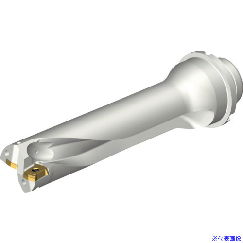 ■SANDVIK コロドリルDS20刃先交換式ドリル(465) DS20D3175DM3204(2162547)[送料別途お見積り][法人限定][メーカー取寄]｜セミプロＤＩＹ店ファースト
