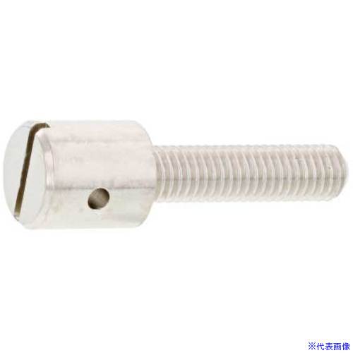 ■SUNCO ニッケルECO-BS封印ビス 5×30 (200本入) 0001J04C0050030005(2303636)[送料別途お見積り][法人限定][掲外取寄]