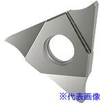 ■GUHRING 溝入れ工具 インサート 内外径溝入れ加工用 GE305.0070.000.BA.04.N 2560312.003(2343350)×2[送料別途お見積り][法人限定][掲外取寄]