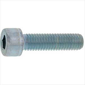 ■SUNCO ステンCAP(日星精工 20&times;120 (8本入) A002000C0200120000(2410522)[送料別途お見積り][法人限定][掲外取寄]｜セミプロＤＩＹ店ファースト