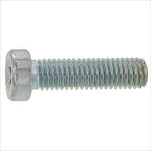 ■SUNCO ステンレス TRXローヘッドCAP 4&times;12 (500本入) A002LT000040012000(2412901)[送料別途お見積り][法人限定][掲外取寄]｜セミプロＤＩＹ店ファースト