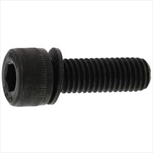 ■SUNCO 10.9 NHセフティソケット 6 X 12 (500本入) A000900N0060012000(2416712)[送料別途お見積り][法人限定][掲外取寄]