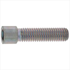 ■SUNCO ステンレス 小頭CAP 5&times;6 (500本入) A00200500050006000(2423232)[送料別途お見積り][法人限定][掲外取寄]｜セミプロＤＩＹ店ファースト
