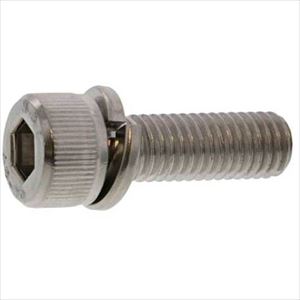 ■SUNCO 3価ホワイト 10.9CAP P\u003d2 日本鋲螺 10 X 25 (100本入) A000902B0100025003(2427799)[送料別途お見積り][法人限定][掲外取寄]