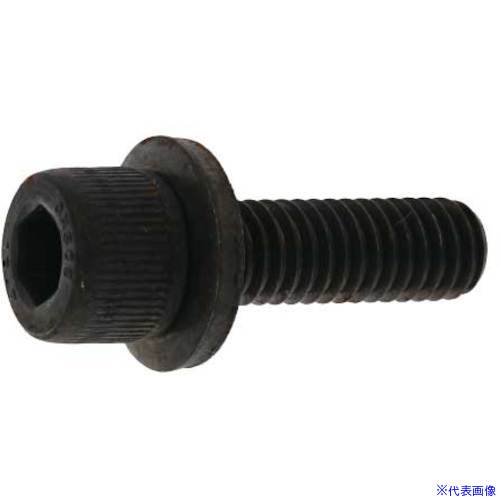 ■SUNCO 三価ブラック 10.9GT－L CAP 6 X 12 (500本入) A0009L000060012004(2434754)[送料別途お見積り][法人限定][掲外取寄]