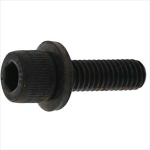 ■SUNCO 10.9GT－L CAP 10 X 35 (100本入) A0009L000100035000(2437552)[送料別途お見積り][法人限定][掲外取寄]