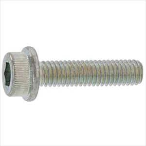 ■SUNCO 3価ブラック フランジソケット 日本ファスナー製 8×12 (100本入) A000300F0080012004(2472550)[送料別途お見積り][法人限定][掲外取寄]