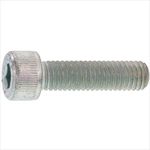 ■SUNCO 三価ホワイト CAP 日本鋲螺 22 × 55 (12本入) A000000B0220055003(2473165)[送料別途お見積り][法人限定][掲外取寄]
