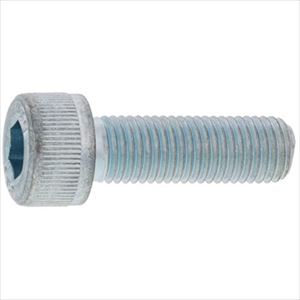 ■SUNCO CAP(細目P 0.75 6&times;16 (500本入) A00000040060016000(2485728)[送料別途お見積り][法人限定][掲外取寄]｜セミプロＤＩＹ店ファースト