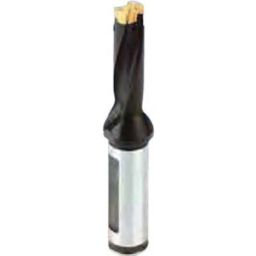■イスカル カムドリル ヘッド交換式ドリルホルダ DCM-5D DCM20010025A5D(2512238)[送料別途お見積り][法人限定][掲外取寄]｜セミプロＤＩＹ店ファースト 28,529円