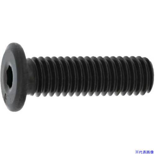 ■SUNCO NSローヘッド パワーエイト 6&times;45 (200本入) A000L4000060045000(2703284)[送料別途お見積り][法人限定][掲外取寄]｜セミプロＤＩＹ店ファースト