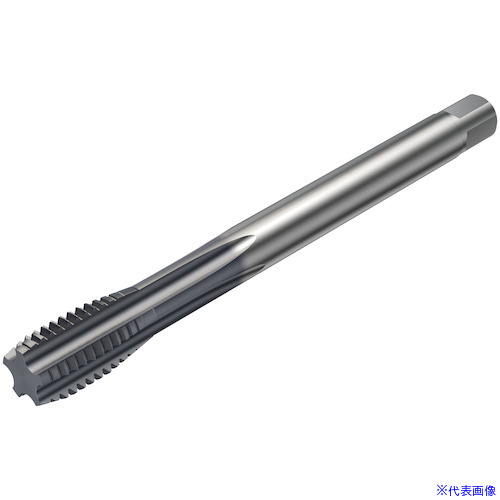 ■SANDVIK コロタップ100 ストレートタップ(780) D210 T100KM108DBM10X100(D210)(3246905)[送料別途お見積り][法人限定][メーカー取寄]｜セミプロＤＩＹ店ファースト