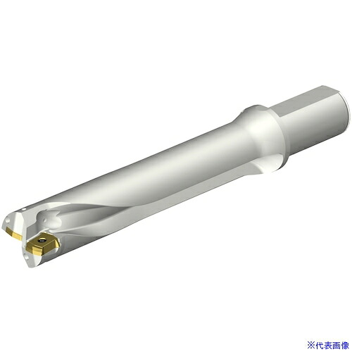 ■SANDVIK コロドリルDS20刃先交換式ドリル(465) DS20D4128LX3805(3510948)[送料別途お見積り][法人限定][メーカー取寄]｜セミプロＤＩＹ店ファースト