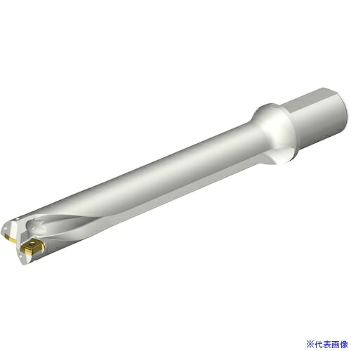 ■SANDVIK コロドリルDS20刃先交換式ドリル(465) DS20D4500L5007(3515669)[送料別途お見積り][法人限定][掲外取寄]｜セミプロＤＩＹ店ファースト