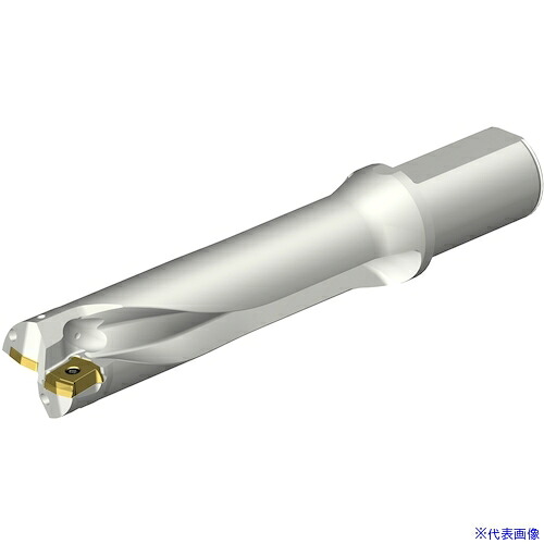 ■SANDVIK コロドリルDS20刃先交換式ドリル(465) DS20D4100L4004(3515751)[送料別途お見積り][法人限定][掲外取寄]｜セミプロＤＩＹ店ファースト