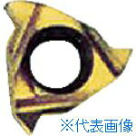 ■NOGA Carmexねじ切り用チップ ISOメートルねじ用 チップサイズ6×P1.25×60° 06IR1.25ISOBXC(4033728)×10