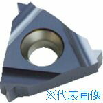 ■NOGA Carmexねじ切り用チップ ISOメートルねじ用 チップサイズ22×P5.0×60° 22ER5.0ISOBMA(4034996)×10|セミプロDIY店ファースト