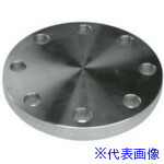 ■inoc ブラインドフランジ 304BF20K80A(4284730)[送料別途お見積り][法人限定][掲外取寄]