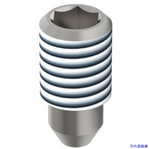 ■KARCHER 超高圧洗浄機アクセサリー サファイヤノズル0.40mm 9.886209.0(4285592)[法人限定][直送元]