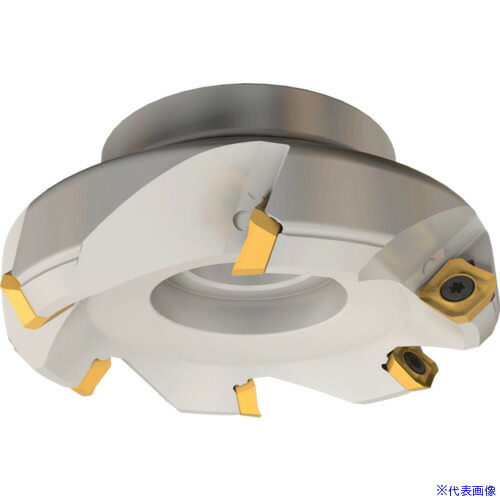 ■イスカル イスカルミル フェースミル F45ST F45STD80.......JPN(4714735)[送料別途お見積り][法人限定][掲外取寄]