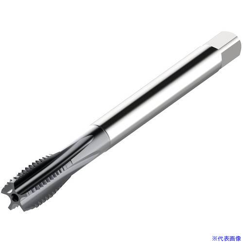 ■セコ タップ MTSM24X3.00ISO6HXXCK102A(4908474)[送料別途お見積り][法人限定][掲外取寄]｜セミプロＤＩＹ店ファースト