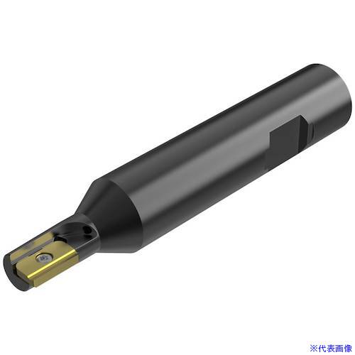 ■セコ フライス ねじ切り工具 R396.182012.313A(4909896)[送料別途お見積り][法人限定][掲外取寄]｜セミプロＤＩＹ店ファースト