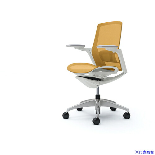 ■OKAMURA フィノラチェア ミドルバック 座メッシュ C781BZF1F9(5080331)[送料別途お見積り][法人限定][外直送]