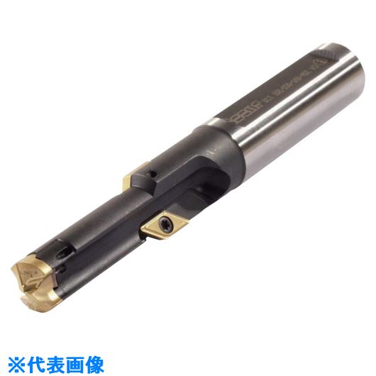 ■イスカル プレスレッド ヘッド交換式ねじ下穴加工ドリル DCT DCT17504220BM20(5168163)[送料別途お見積り][法人限定][掲外取寄]