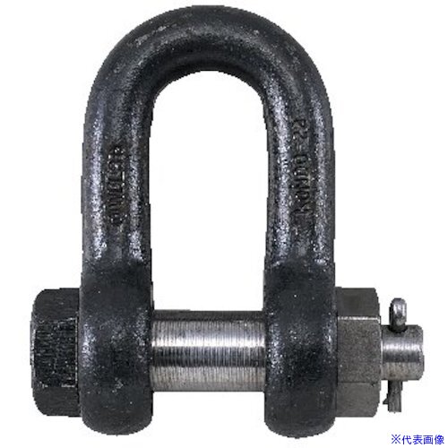 ■コンドーテック KONDO規格シャックル SBシャックル 42 生地 022SBA042(5431228)[送料別途見積り][法人・事業所限定][外直送]