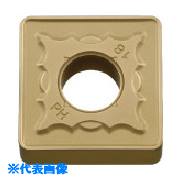 ■京セラ 旋削加工用チップ CVDコーティング CA515 SNMG150616PH(CA515)(5528119)&times;10[送料別途お見積り][法人限定][掲外取寄]｜セミプロＤＩＹ店ファースト