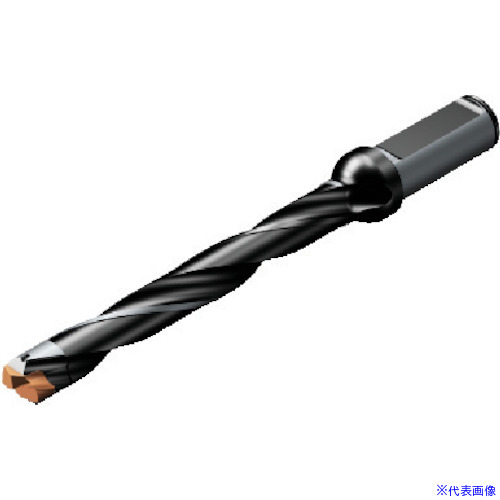 ■SANDVIK コロドリル870 ヘッド交換式ドリル(446) 870120010L168(5654602)[送料別途お見積り][法人限定][掲外取寄]｜セミプロＤＩＹ店ファースト