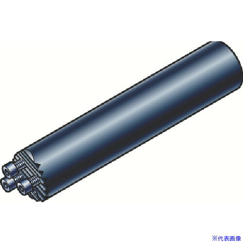 ■SANDVIK コロターンSL(430) SL3C25255(5783801)[送料別途お見積り][法人限定][掲外取寄]｜セミプロＤＩＹ店ファースト