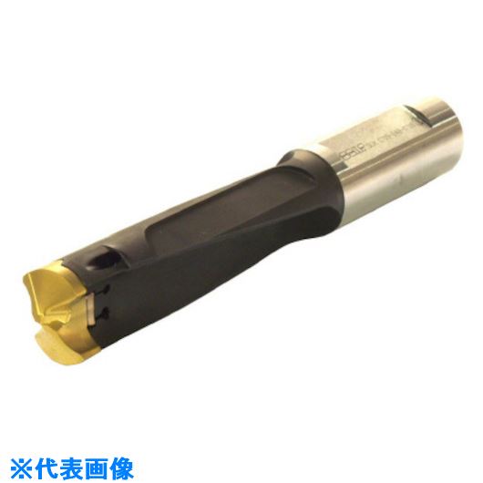 ■イスカル カムドリル ヘッド交換式ドリルホルダ DCM-3.5D DCM0750268B3.5D(6213286)[送料別途お見積り][法人限定][掲外取寄]