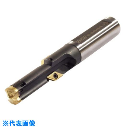 ■イスカル プレスレッド ヘッド交換式ねじ下穴加工ドリル DCT DCT10203014BM12(6213847)[送料別途お見積り][法人限定][掲外取寄]