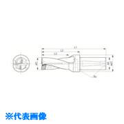 ■京セラ マジックドリル DRZ型用ホルダ 加工深さ2&times;DC S32DRZ306010(6471137)[送料別途お見積り][法人限定][掲外取寄]｜セミプロＤＩＹ店ファースト