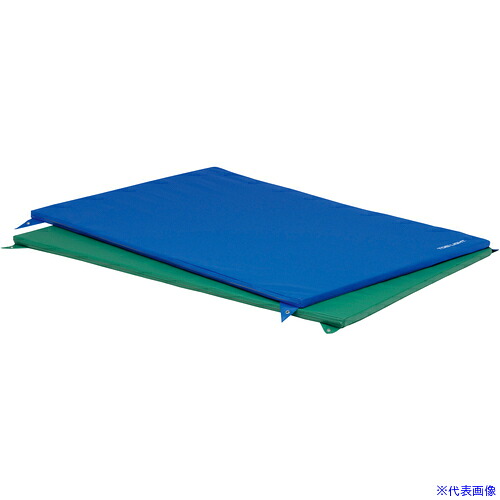 ■トーエイライト 鉄棒用下敷きマット 鉄棒用下敷マット120 T1256G(6843191)[送料別途お見積り][法人限定][外直送]