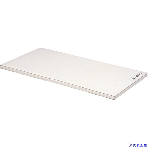 ■トーエイライト ソフト軽量マット 120&times;240&times;5.5cm(F T1798(6843263)[送料別途お見積り][法人限定][外直送]｜セミプロＤＩＹ店ファースト